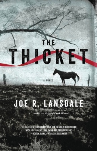 the thicket joe lansdale