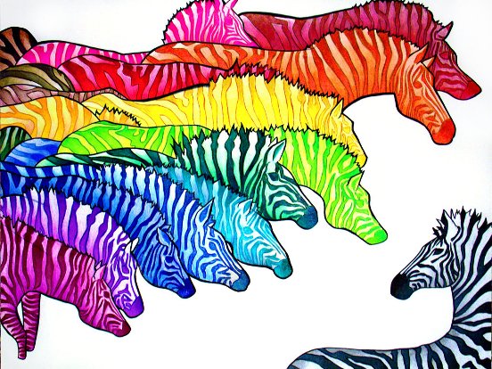Zebras