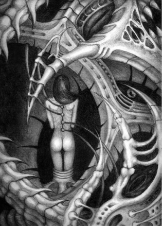 Biomechanic II