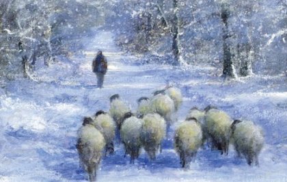 Sheep in Winter