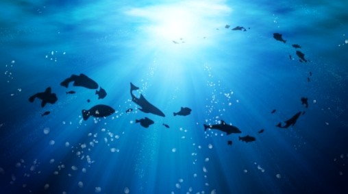 Ocean